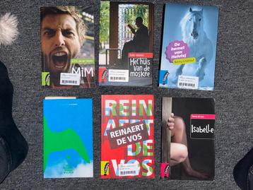 Leesboeken: MIM, Moskee, Heivish, Regenwulpen...