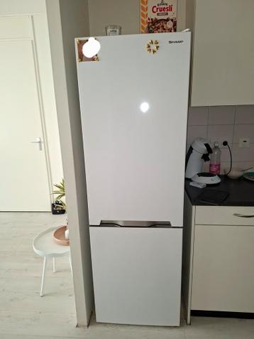 Koel-vries combinatie.