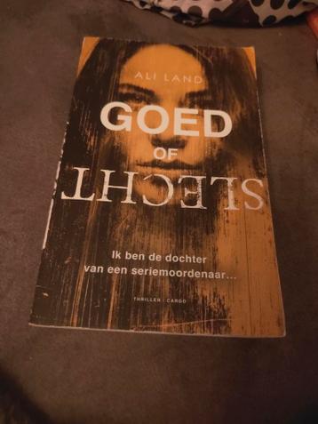 Goed of Slecht - Ali Land, thriller