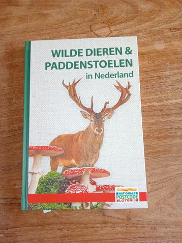 Wilde dieren & Paddestoelen