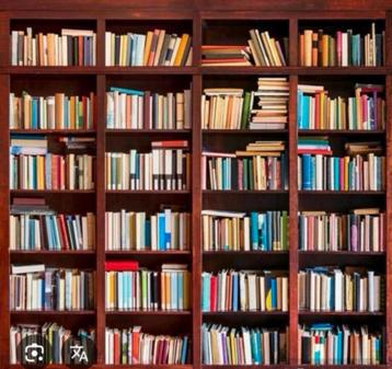 Gezocht; partij boeken