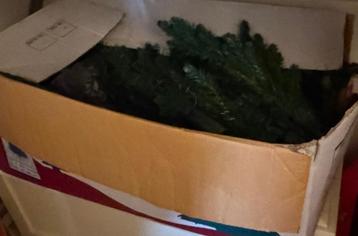 Kerstboom Triumph Tree Matterhorn