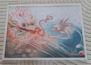 Diverse ingelijste foto's en prints - Verschillende formaten