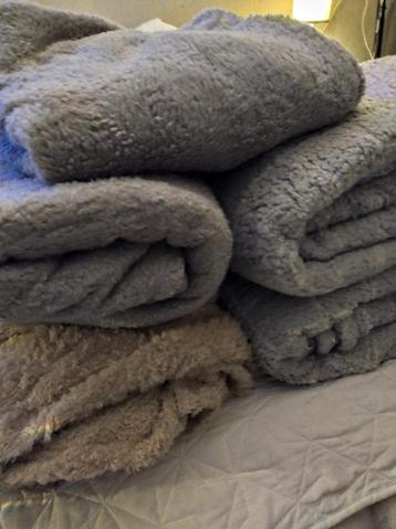 Mooie grote Teddy plaids*Rosetta* Gratis