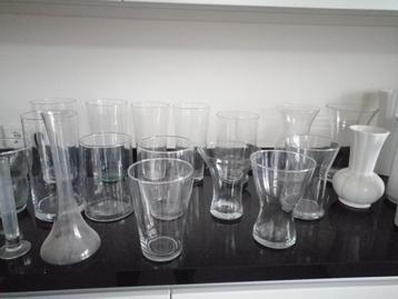 glazen vazen in diverse hoogtes