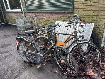 Drie fietswrakken voor onderdelen of restauratie