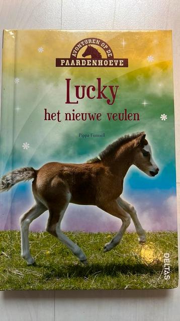 Lucky het nieuwe veulen
