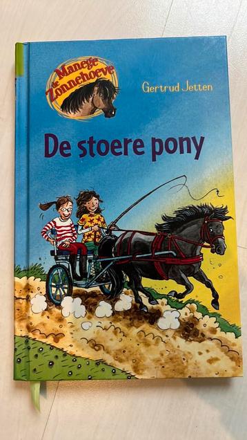 De stoere pony
