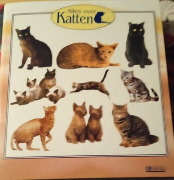 te koop
