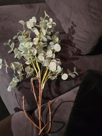 Kunst Eucalyptus Takken - Decoratief en Tijdloos