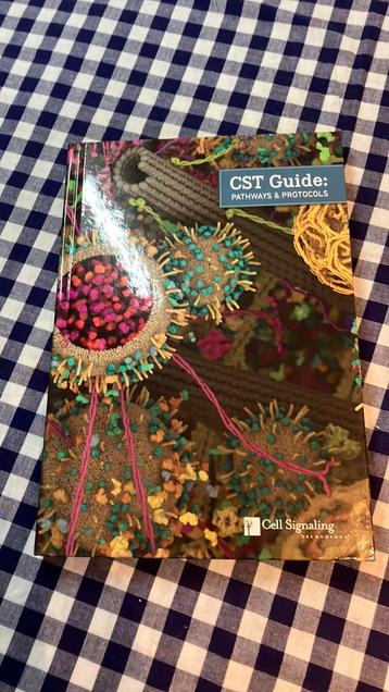 Cst guide