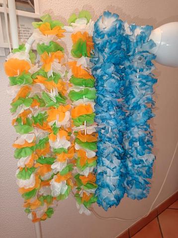 5 Boa ' s Carnaval of Vakantie oa