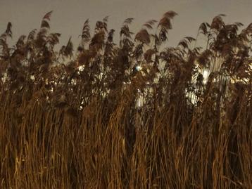 GRATIS Indesit Wasmachine