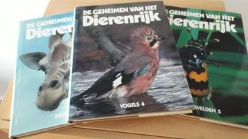 Lecturama: 32-delig Dierenrijk