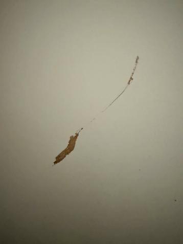 IKEA 4 vaks kast - gratis ophalen