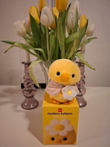 Hema mystery kuiken ruilen lees tekst