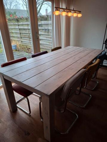 Eettafel 220x100 + evt. stoelen
