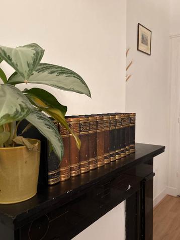 Oosthoeks Geïllustreerde Encyclopedie - Complete Serie