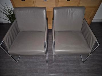 Leren stoel / fauteuil met rvs frame (1stuks)