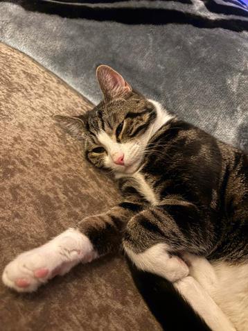 Mimi zoekt een nieuw huisje