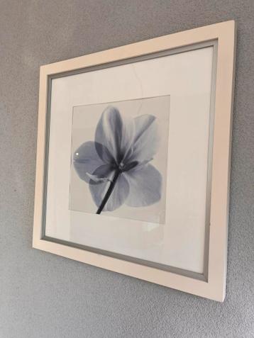 Twee schilderijtjes met bloemmotief