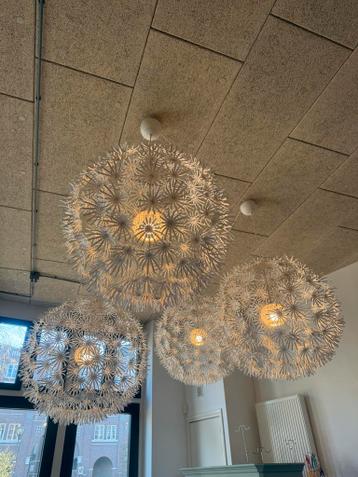 4 paardenbloem plfond lampen wit