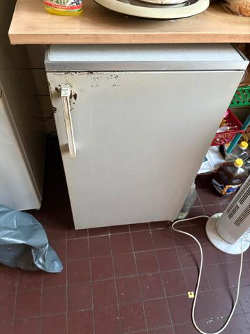 Kleine Koelkast - Ideaal voor kleine ruimtes