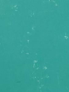 GEZOCHT: grote kartonnen dozen