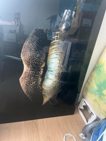 Gratis glasschilderij ophalen