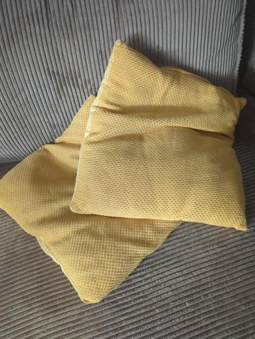 2 Gele Kussens 45x45 cm