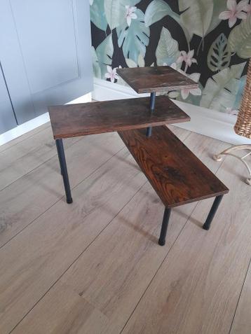 Klein plantenrekje voor binnen gratis