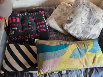 Diverse kussens en zitkussen