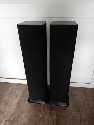 2x BNS Soundcolumn Versie II
