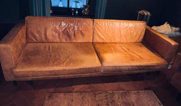 Stevige fijne cognac rodeo mustang bank 250