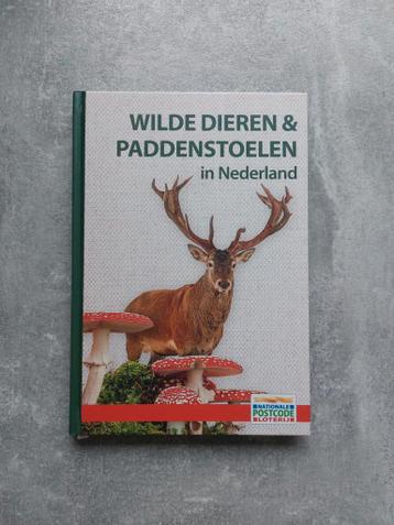 Wilde dieren & paddenstoelen in Nederland