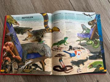 WOW! Dieren - Alles over de fascinerende dierenwereld