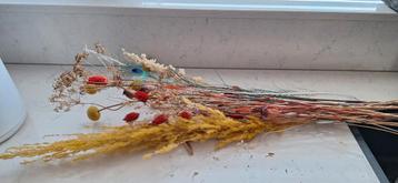 Boeketje droogbloemen circa 40 cm lang