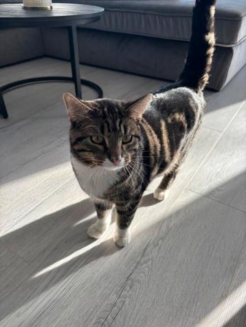 Ace - bijna 1 jaar oud