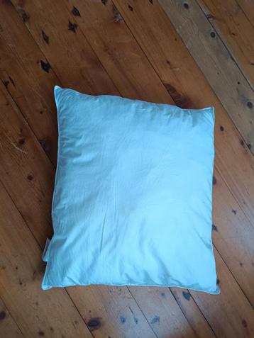 Gratis Cinderella Hoofdkussen - Afhalen!