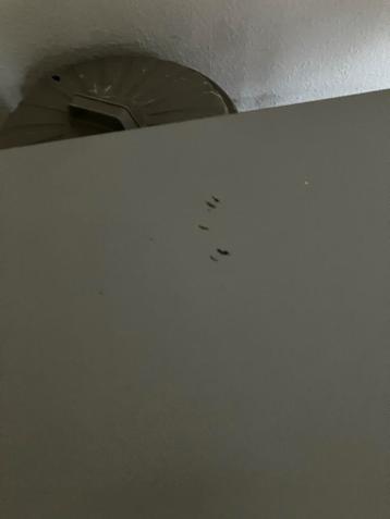 Kantoortafel / Bureau - Perfect voor thuiswerk!