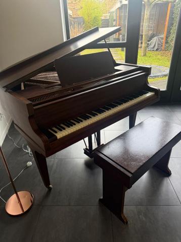 Oude Baby Vleugel - Decoratief stuk voor de woonkamer