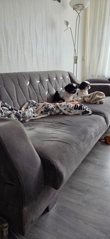 Ruime gratis uitklapbare slaapbank 2,50m breed