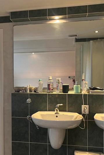 Grote spiegel en twee wastafels