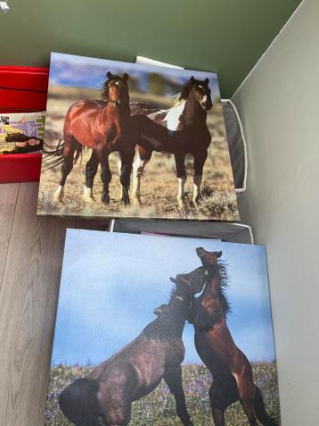 Twee Canvas Schilderijen met Paarden