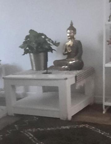 Gratis af te halen salontafel, grenenhout.