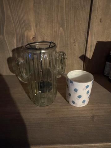 Leuke Cactus Kaars Setje