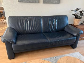 Donkerblauwe driezitter