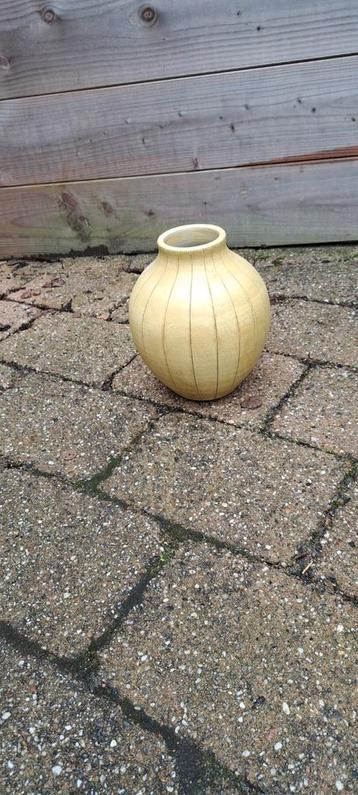 Gratis Vaas circa 20 cm hoog