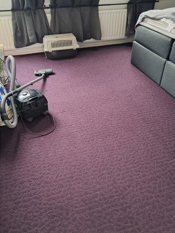 Paarse tapijttegels, circa 15 vkm. Zgan.