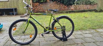 Giant mountainbike opknapper